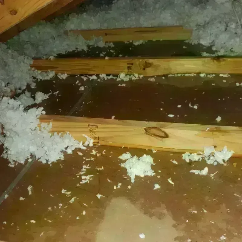 Attic Water Damage in Luck, WI