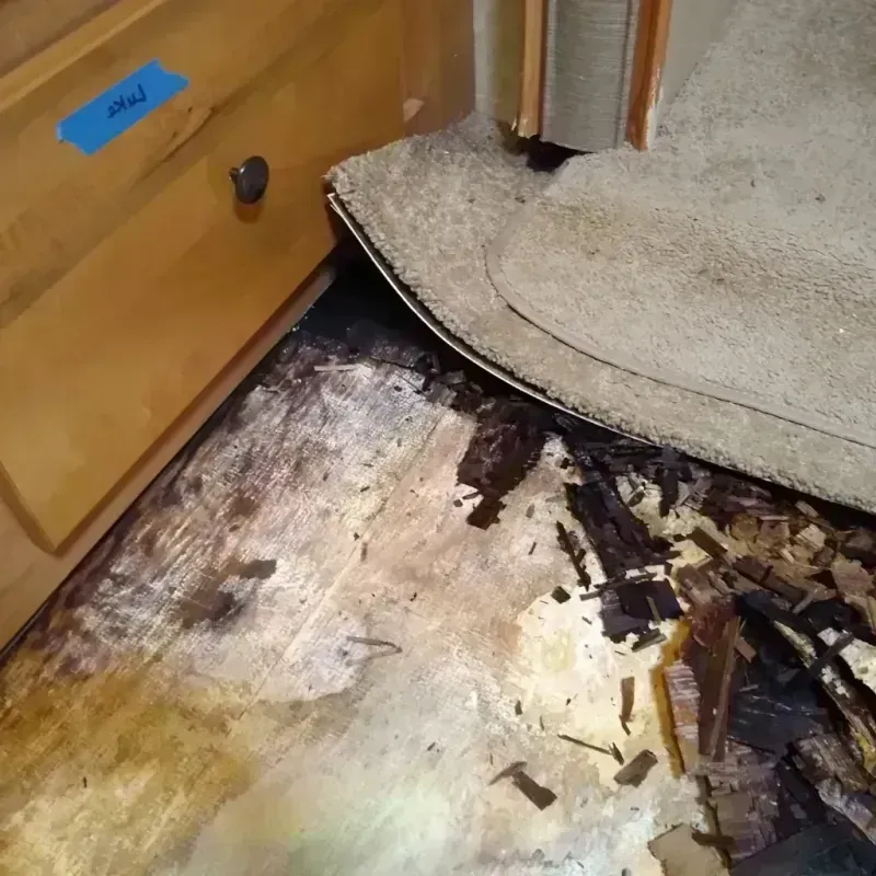 Wood Floor Water Damage in Luck, WI